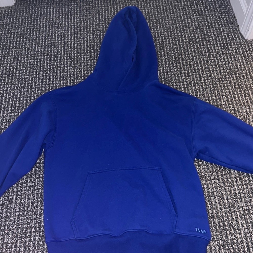 aritzia hoodie